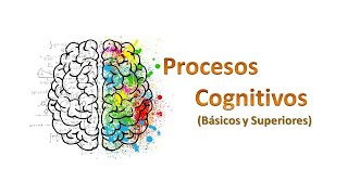 Procesos Cognitivos básicos y superiores [upl. by Sanford]