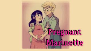 Pregnant Marinette  Miraculous Ladybug TextingStory [upl. by Quint324]