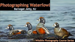 Barnegat Jetty NJ  Wild Photo Adventures [upl. by Dahlia385]