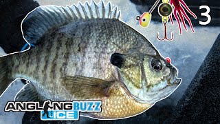 Ice Fishing Panfish – AnglingBuzz ICE [upl. by Molloy]