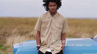 Dickies Clothing Brand  Streetwear Lookbook [upl. by Mayne]