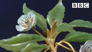 Magical Faberge flower valued at £1 million  Antiques Roadshow  BBC [upl. by Eelamme]