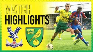 HIGHLIGHTS  Crystal Palace 20 Norwich City [upl. by Ained]