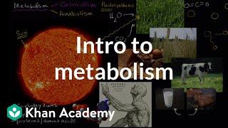 Introduction to metabolism anabolism and catabolism  Khan Academy [upl. by Anirroc]