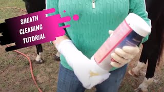 Sheath Cleaning Tutorial for Horses [upl. by Aihsekat]