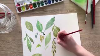 Watercolor Basics How to Paint Simple Leaves [upl. by Eitsirc]