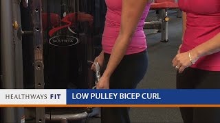 Low Pulley Bicep Curl [upl. by Filbert]