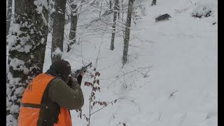 Domuz Avı melin Wild boar hunt Chasse au sanglier Caza de jabalí Türkiye [upl. by Marentic]