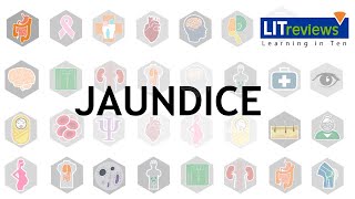 A Clinical Approach to Jaundice [upl. by Calvano]