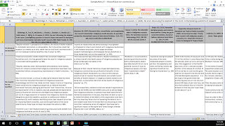 How to Create a Literature Matrix Excel [upl. by Orips]