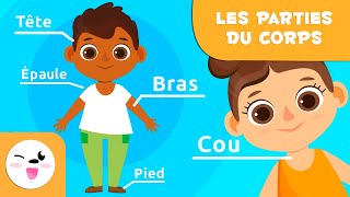 Les parties du corps humain pour les enfants  Vidéos éducatives pour les enfants [upl. by Eigroeg]