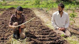 AGROFORESTRY COURSE  Lesson 24 Module 5  Grass in Food Forests  Food Forest COURSE [upl. by Aimal]