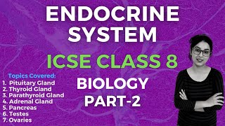 Endocrine System  ICSE CLASS 8 Biology  Part  2 [upl. by Renmus]