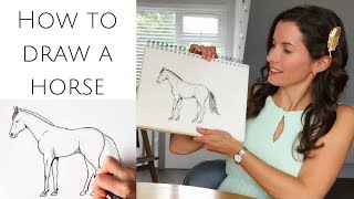 How to draw a horse standing for beginners [upl. by Dric369]