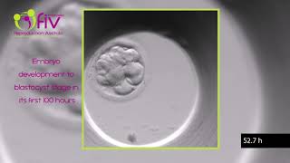 Egg sperm and fertilization  Behavior  MCAT  Khan Academy [upl. by Nicky925]