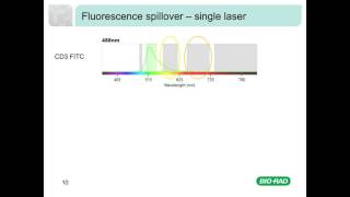 Fluorescence and Compensation in Flow Cytometry [upl. by Chow]