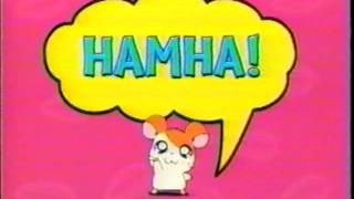 Hamtaro  GameBoy Color Game Boy Commercial 2002 [upl. by Hesky]