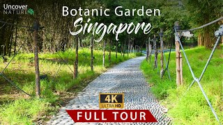 Botanic Garden  Singapore  Full Tour  4K [upl. by Orelia723]