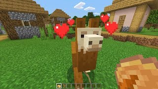 How To Tame And Ride A Llama In Minecraft [upl. by Eitten]