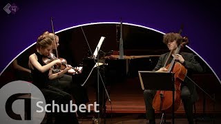 Schubert Piano Trio No 1  Noa Wildschut Alexander Warenberg amp Elisabeth Brauss  HD [upl. by Enait299]