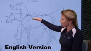 Easy Horse body drawing for beginners [upl. by Eniamerej]