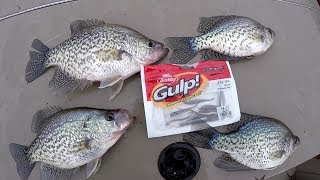 Crappie Fishing With The Berkley Gulp Minnow [upl. by Aneetsirk]