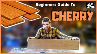 Beginners Guide To Wood Species All About Cherry [upl. by Llain434]