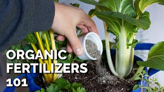 14 Organic Fertilizers and How to Use Them [upl. by Greenleaf507]