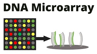 DNA Microarray DNA chip technique [upl. by Jeavons]