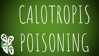 Toxicology Calotropis Poisoning MADE EASY [upl. by Aleris]