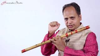 Online Bansuri  Flute Lessons  1 How Do I Position My Fingers [upl. by Letha]