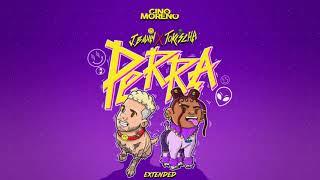 Perra  J Balvin Tokischa   Gino Moreno Extended [upl. by Dnomar]