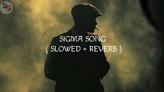 SIGMA RULE Song slowed  Reverb lofi [upl. by Gentry527]