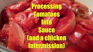 Processing Tomatoes into Sauce using a Food Mill [upl. by Lafleur978]