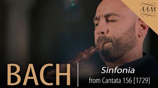 Bach Cantata 156  Sinfonia  Leo Duarte amp Academy of Ancient Music [upl. by Iahc]