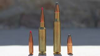 65 Creedmoor vs 3006 Springfield A Detailed Comparison amp Analysis For Hunters [upl. by Nuris]