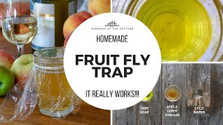 EASY HOMEMADE FRUIT FLY TRAP [upl. by Alisun]