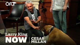 Cesar Millan on How He Became the Dog Whisperer  Tips amp Tricks [upl. by Solana]