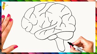 How To Draw The Human Brain Step By Step 🧠 Brain Drawing Easy [upl. by Leahcam]