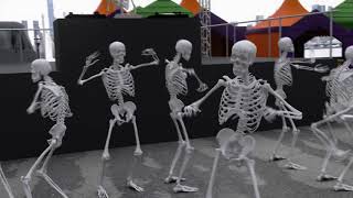 Spooky Scary Skeleton DANCE PARTY [upl. by Aurelia]