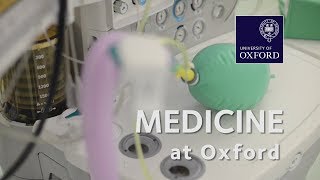 Medicine at Oxford University [upl. by Aseen]