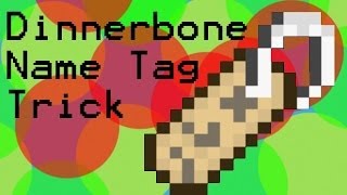 Minecraft name tag trick DinnerBone [upl. by Araes65]