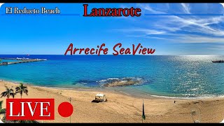 Lanzarote  Live HD streaming  Weather in Arrecife Beach [upl. by Nosirrah]