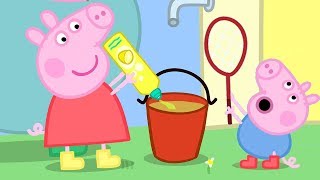 Peppa Pig in Hindi  Camping  हिंदी Kahaniya  Hindi Cartoons for Kids [upl. by Gnex817]