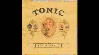 Tonic  If You Could Only See Adult Radio Mix HD [upl. by Isidor]