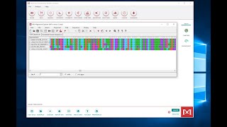 Making a Multiple Sequence Alignment in MEGA [upl. by Ylrebmic]