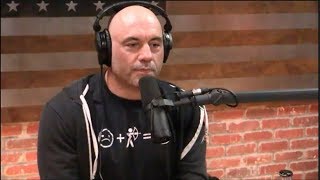 Joe Rogan  The Science of Hotness vs Beauty [upl. by Pastelki]