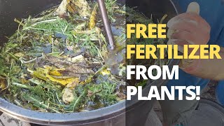 How to Make POWERFUL Fertilizer from ANY Plant [upl. by Nileve251]