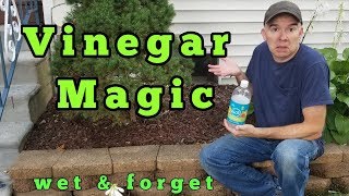 Vinegar Magic Removing mold and mildew [upl. by Kramer198]