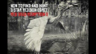 Red Dead Redemption 2 Perfect Reddish Egret Hunting Guide [upl. by Erny]